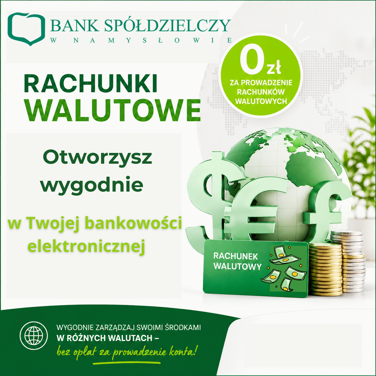 rach walutowy bankowosc elektr 003