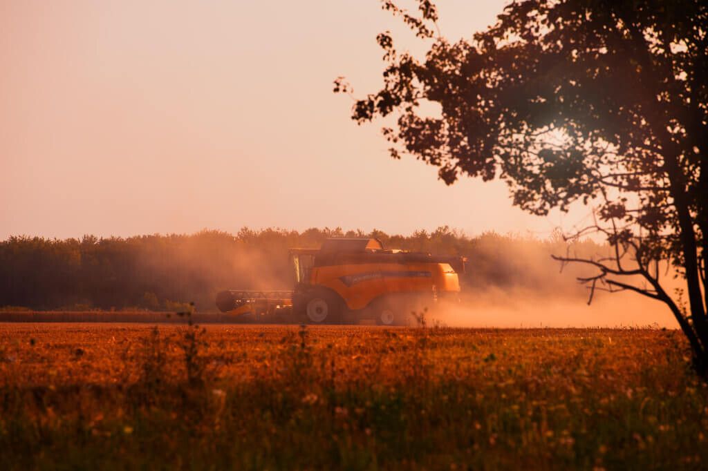 Kredyt w rachunku bieżącym